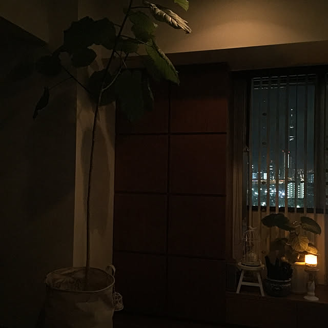 HKSさんの実例写真