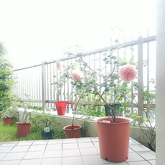 hiromimiさんの実例写真