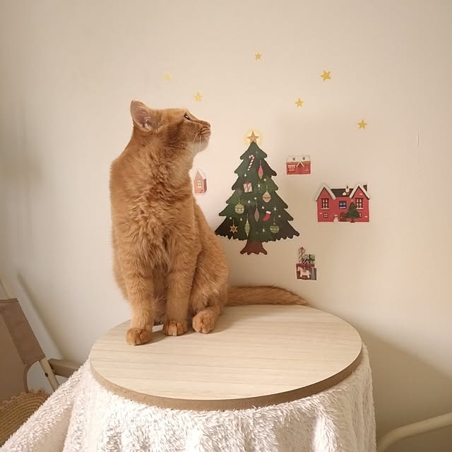 mayutan.さんの部屋