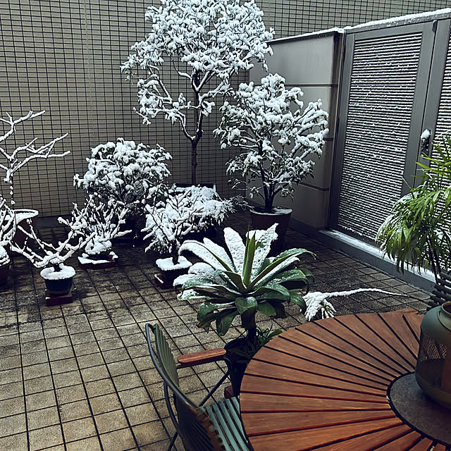 happy-sachiさんの部屋