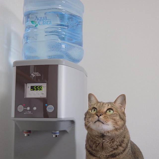 torayuさんの実例写真