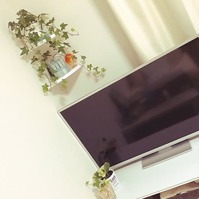 alice_milktea_oさんの実例写真