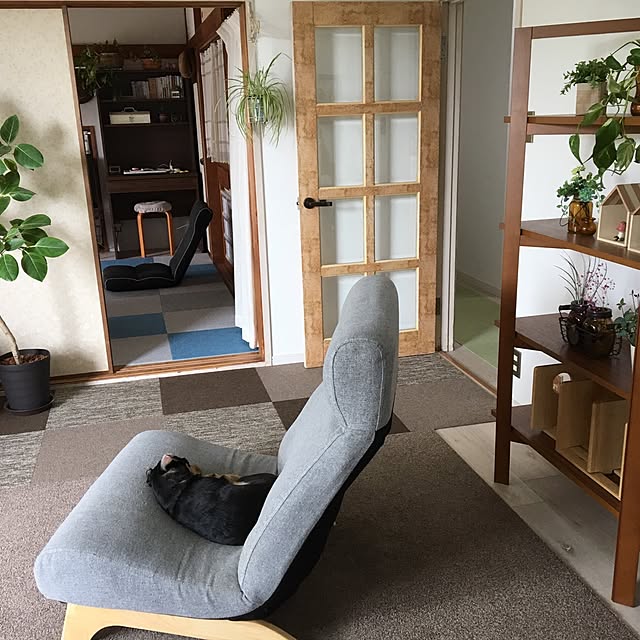 mugijunさんの実例写真