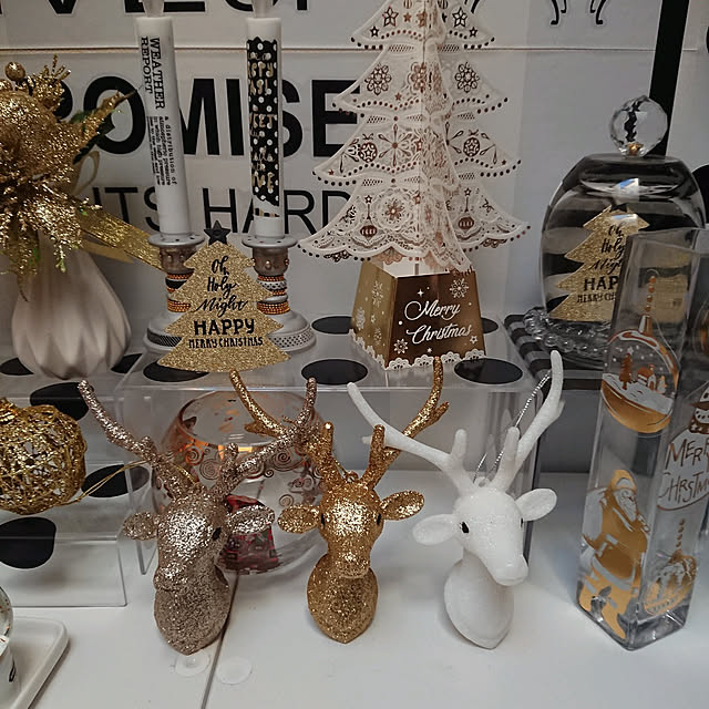 Lumiさんの実例写真