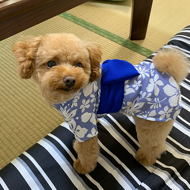 Samさんの実例写真