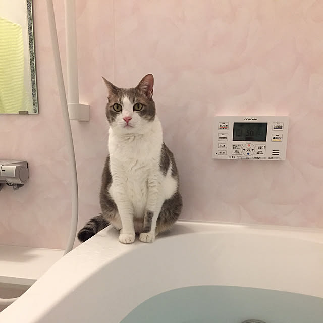 バス/トイレのインテリア実例 - 2017-10-19 16:45:56