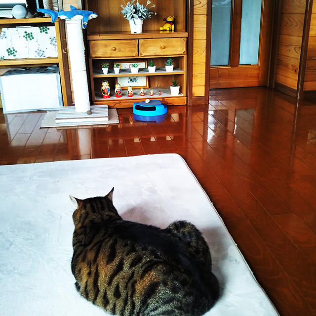 sho.27.yuki.11さんの実例写真