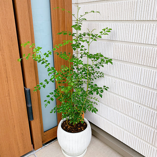 mumamaさんの実例写真