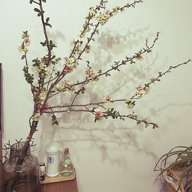 hanaさんの実例写真