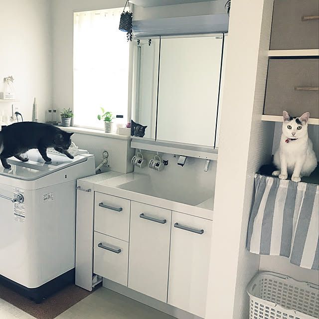 yumitakaさんの実例写真