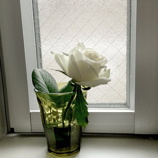 Koiya_chanさんの実例写真
