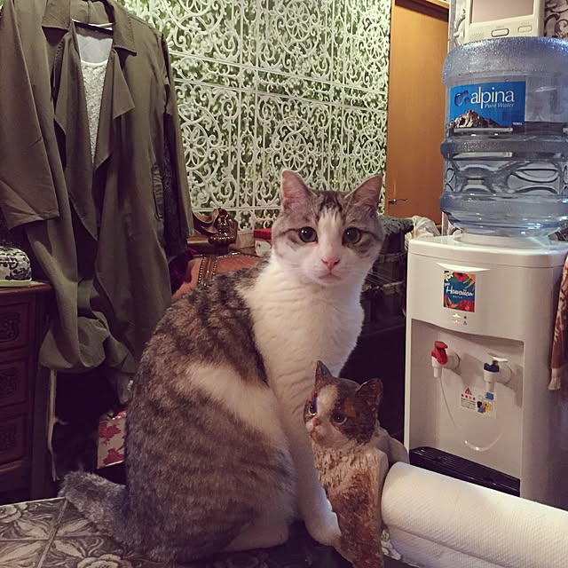 emmyyさんの実例写真