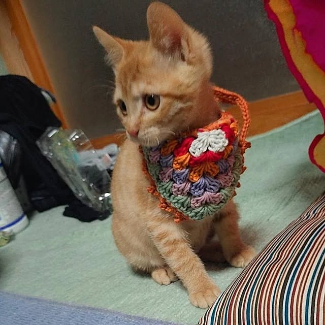 fujiyayuさんの実例写真