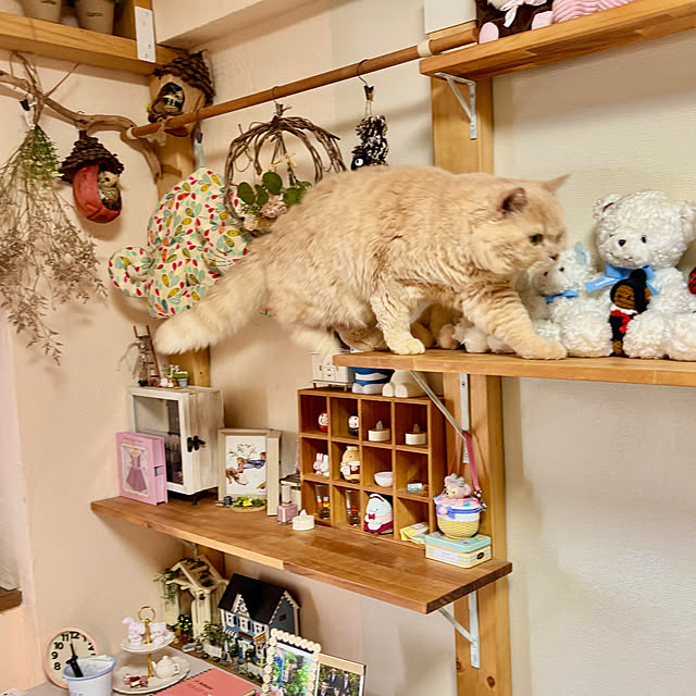 naokoさんの実例写真