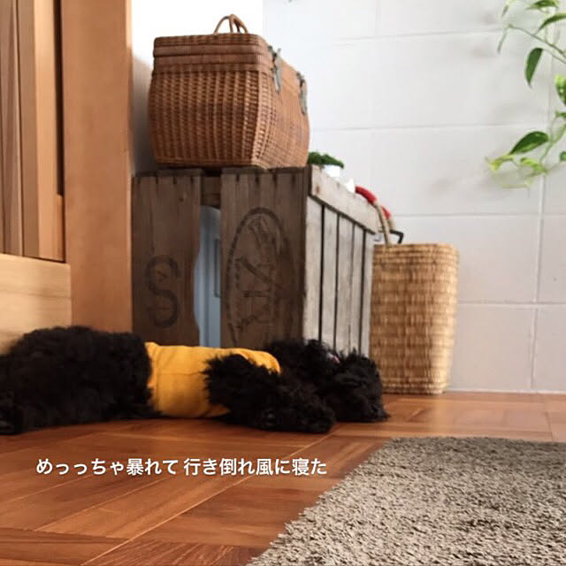 mignonさんの実例写真
