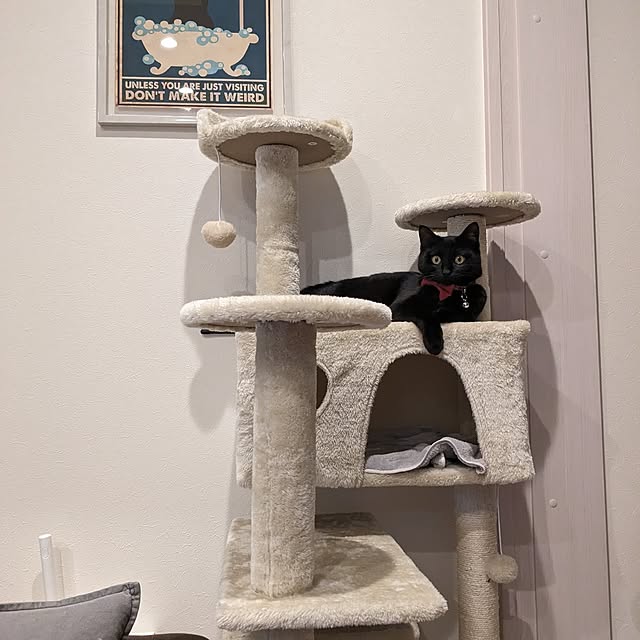 mm3さんの実例写真