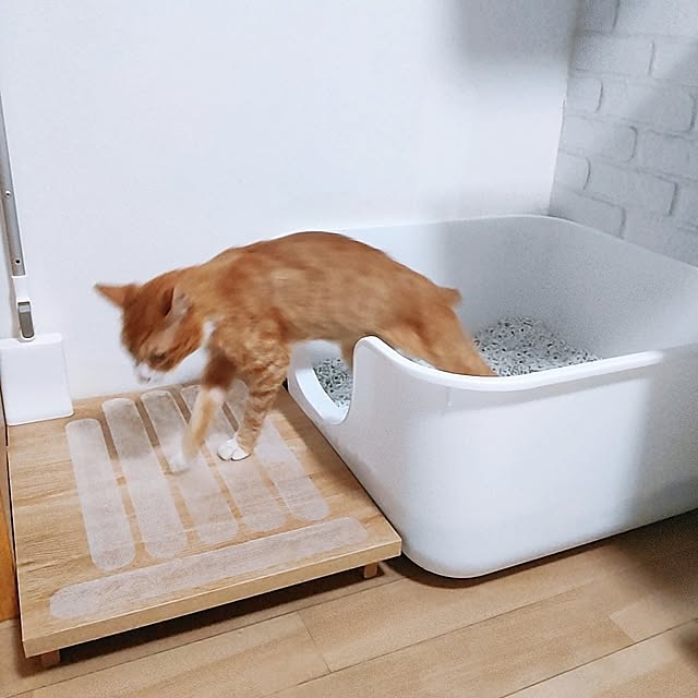 kirakirahikaruさんの部屋