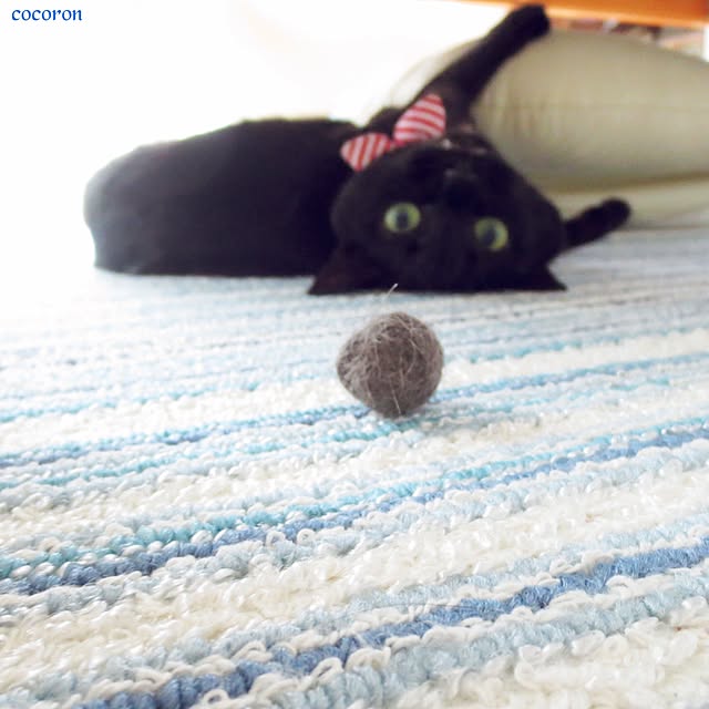 cocoronさんの実例写真