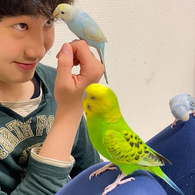 棚/ふたり暮らし/こどもと暮らす/今日も仕事/インコと暮らす...などのインテリア実例 - 2025-05-10 21:07:13