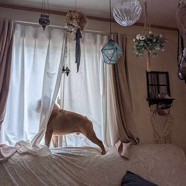 chi_gogaさんの実例写真