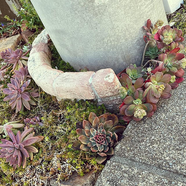 pekoさんの実例写真