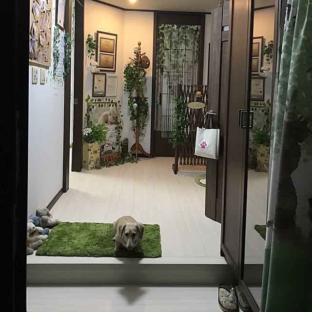 hechanさんの実例写真