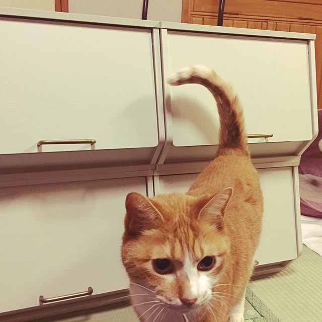 lavie0125さんの実例写真