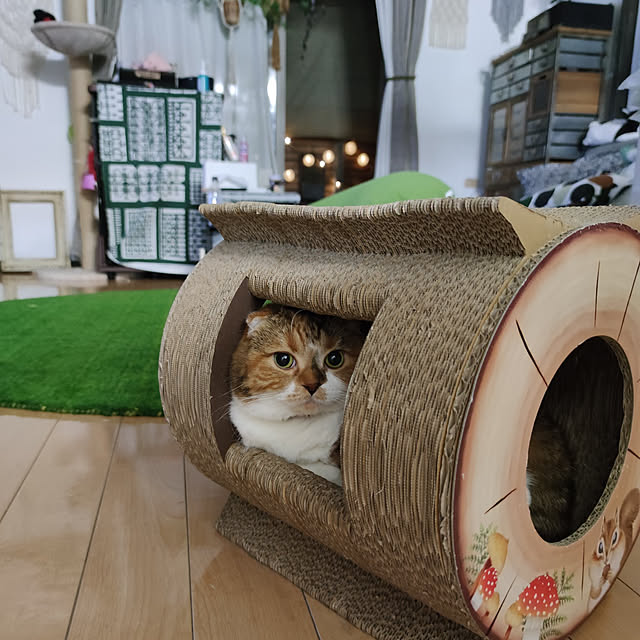 hiro3さんの実例写真