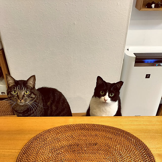 hihaさんの実例写真