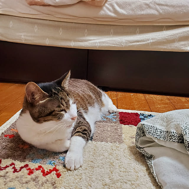 coconashiさんの実例写真