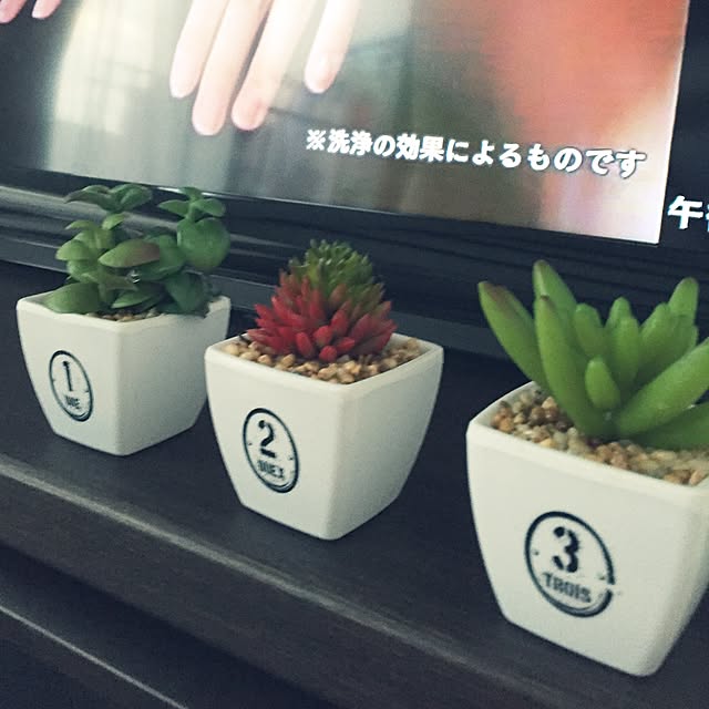minkokoさんの実例写真