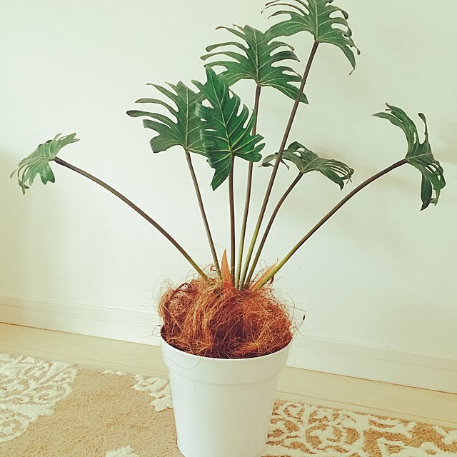 yunikoさんの実例写真