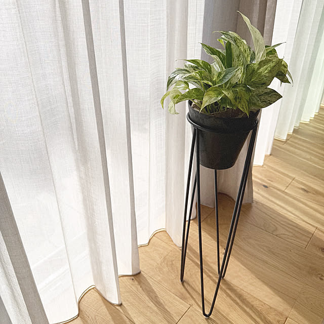 shior_i1108さんの実例写真