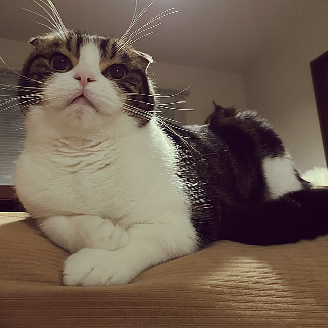 tansukeさんの部屋