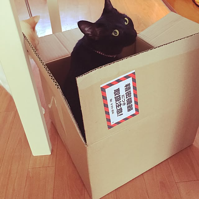 toufuさんの実例写真