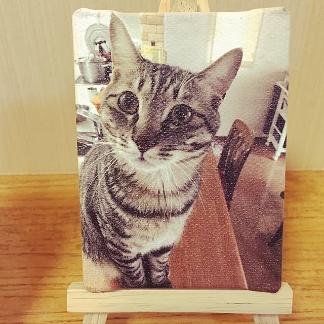 baronkotarouさんの実例写真