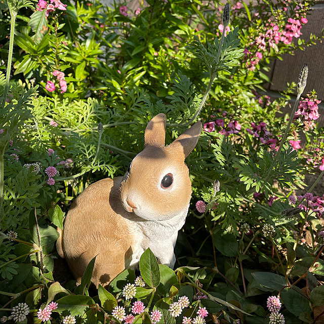 ronronさんの実例写真