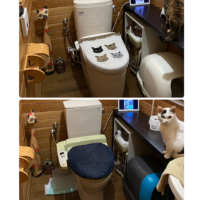 miseiさんの実例写真
