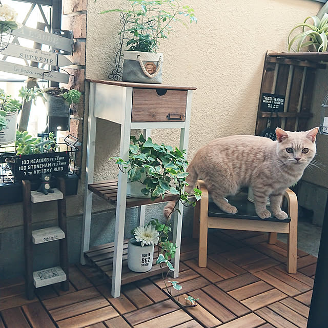noritamaさんの実例写真