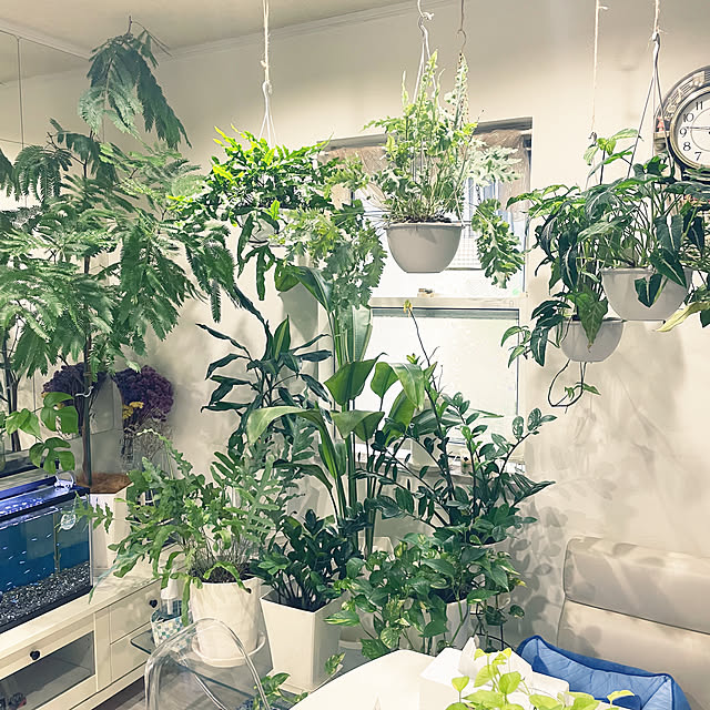 kanakoさんの部屋