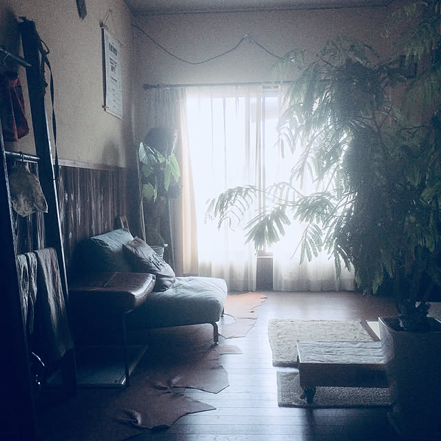 88さんの実例写真