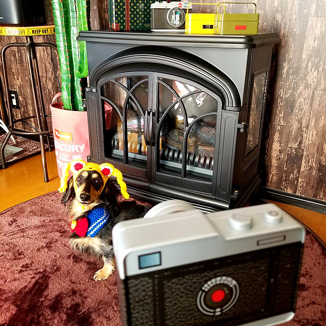 momozouさんの実例写真