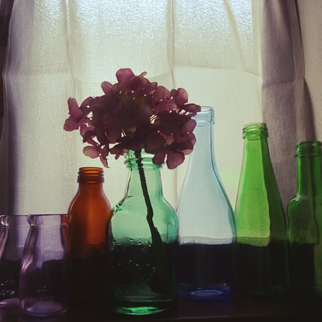 noa-houseさんの実例写真