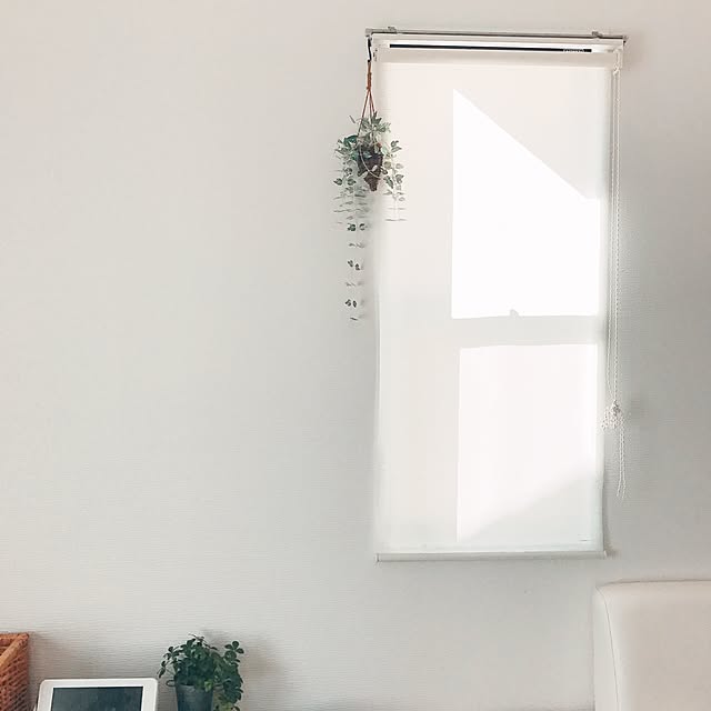 eee__homeさんの実例写真