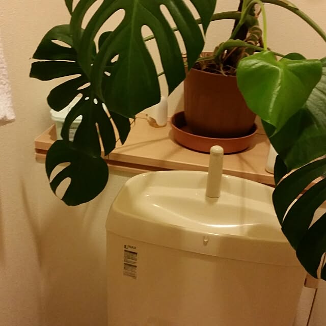 quntaiさんの実例写真