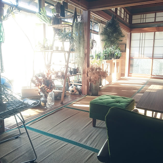 takenさんの実例写真