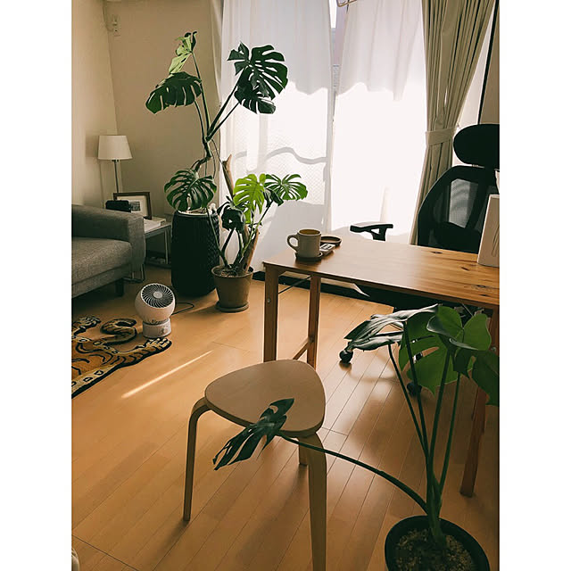 otsuka.jctさんの実例写真