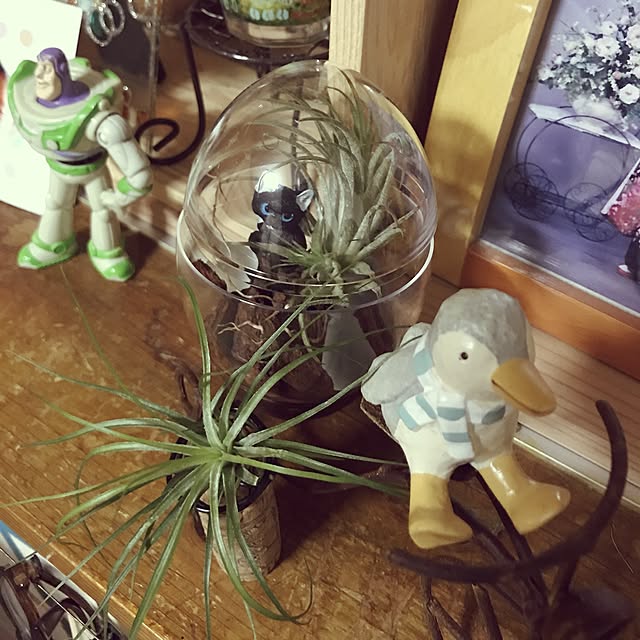 sa_miさんの実例写真