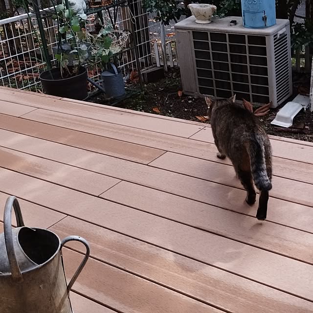 showさんの部屋
