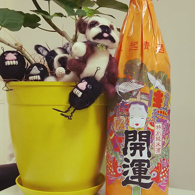 panchobiさんの実例写真